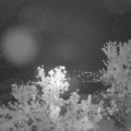 Webcam_20240502-214500