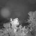 Webcam_20240503-050000