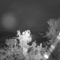 Webcam_20240506-050000