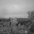 Webcam_20240506-053000