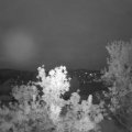 Webcam_20240508-050000