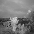 Webcam_20240518-214500