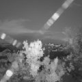 Webcam_20240519-220000