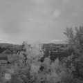 Webcam_20240520-050000