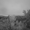 Webcam_20240525-050000