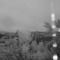 Webcam_20240530-050000
