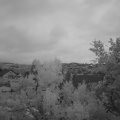Webcam_20240601-050000