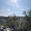 Webcam_20240725-101500