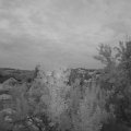 Webcam_20240725-214500