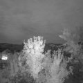 Webcam_20240725-220000