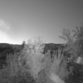 Webcam_20240729-050000