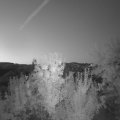 Webcam_20240801-050000