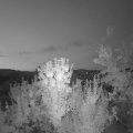Webcam_20240803-050000