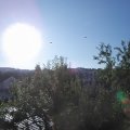 Webcam_20240820-081500