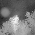 Webcam_20240821-050000