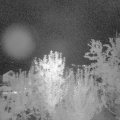 Webcam_20240823-214500