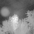 Webcam_20240902-050000