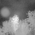 Webcam_20240902-051500