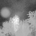 Webcam_20240904-050000