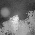Webcam_20240907-051500