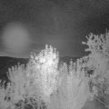 Webcam_20240907-053000