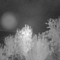 Webcam_20240908-053000