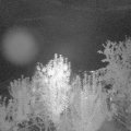 Webcam_20240909-211500