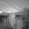 Webcam_20240910-061500