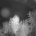 Webcam_20240911-050000