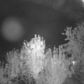 Webcam_20240911-054500