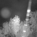 Webcam_20240916-050000