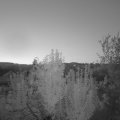 Webcam_20240919-063000