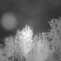 Webcam_20240922-204500