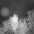 Webcam_20240923-201500