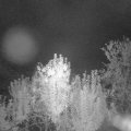 Webcam_20240925-053000