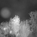 Webcam_20240925-054500