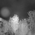Webcam_20240925-201500