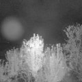 Webcam_20240927-201500