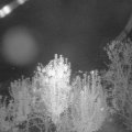 Webcam_20240929-201500
