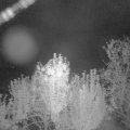 Webcam_20240930-050000