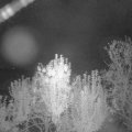 Webcam_20240930-053000