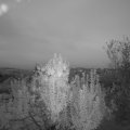 Webcam_20240930-193000