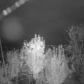 Webcam_20240930-194500