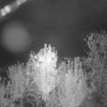 Webcam_20240930-201500
