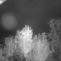 Webcam_20241001-063000