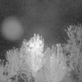 Webcam_20241001-220000