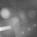 Webcam_20241002-200000