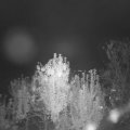 Webcam_20241002-201500