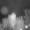 Webcam_20241003-063000