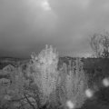 Webcam_20241003-070000